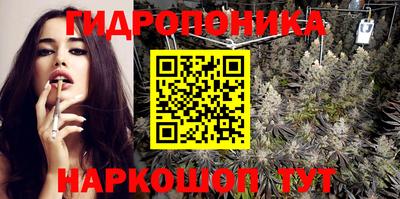 спиды Обь