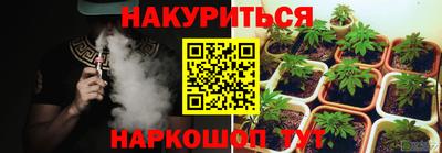спиды Обь