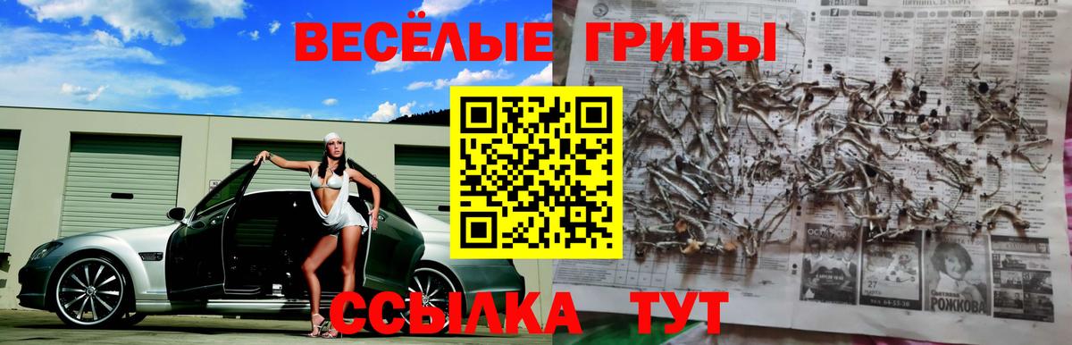 Галлюциногенные грибы мицелий  Вход с VPN  Томск  Псилоцибиновые грибы мухоморы 